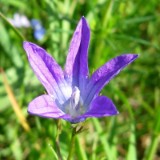 0905F 11 Stendal-Hamburg : elbe